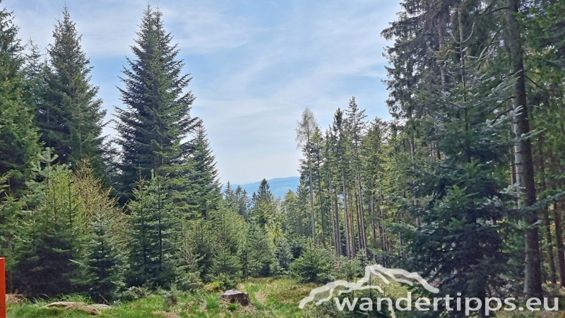 Lorenzkogel/Glatzl Trahütten Alm Abbildung 16