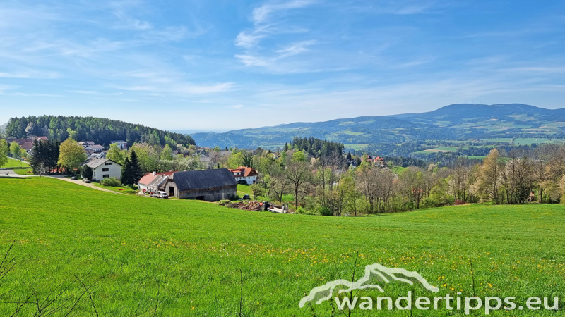 Lorenzkogel/Glatzl Trahütten Alm Abbildung 18