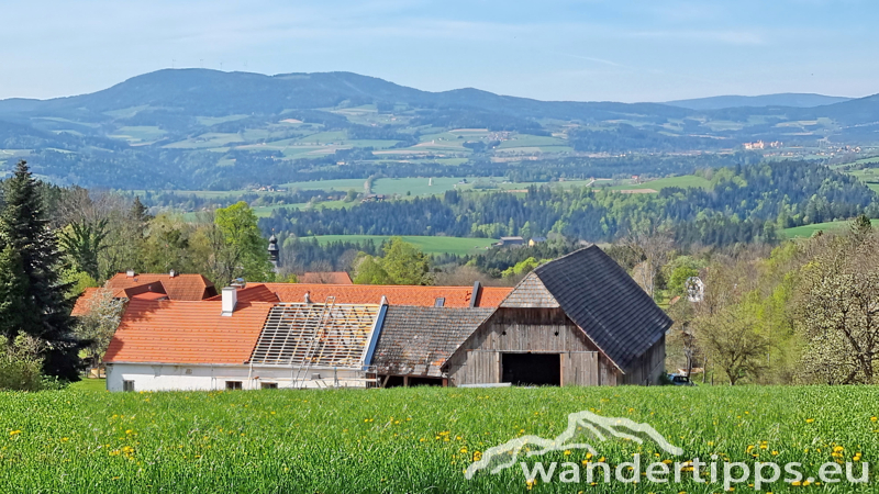Lorenzkogel/Glatzl Trahütten Alm Abbildung 4