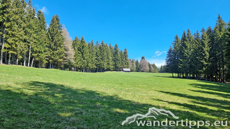 Lorenzkogel/Glatzl Trahütten Alm Abbildung 6