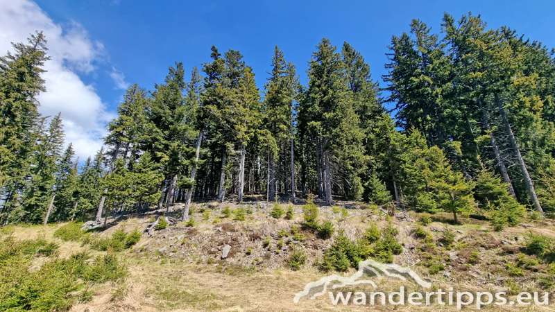 Lorenzkogel/Glatzl Trahütten Alm Abbildung 7