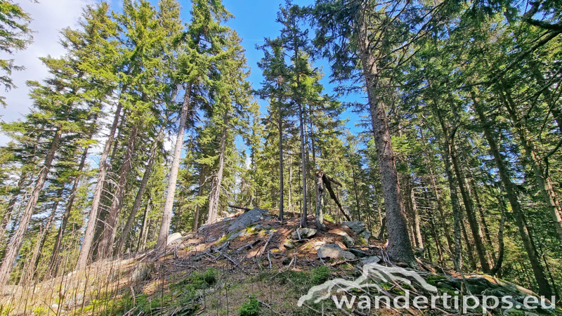 Lorenzkogel/Glatzl Trahütten Alm Abbildung 8