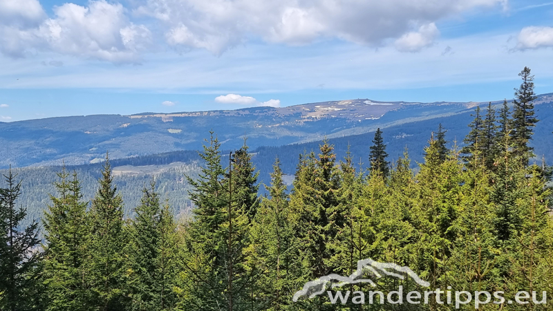 Lorenzkogel/Glatzl Trahütten Alm Abbildung 10