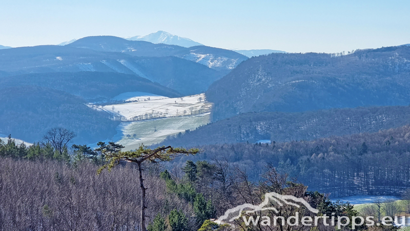 Peilstein von Süden Abbildung 5