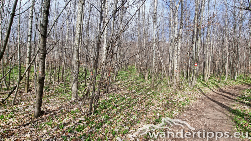 Peilstein von Süden Abbildung 7