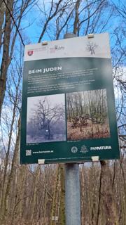 Sonnenberg/Buchkogel Abbildung 8