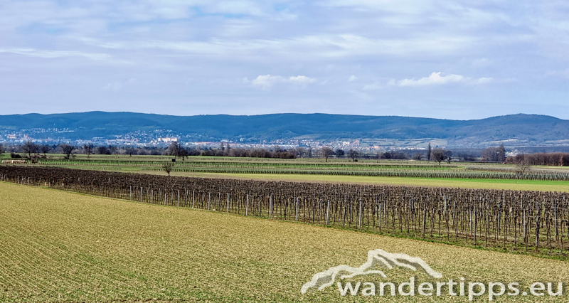 Sonnenberg/Buchkogel Abbildung 1