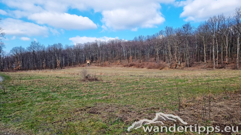Sonnenberg/Buchkogel Abbildung 11