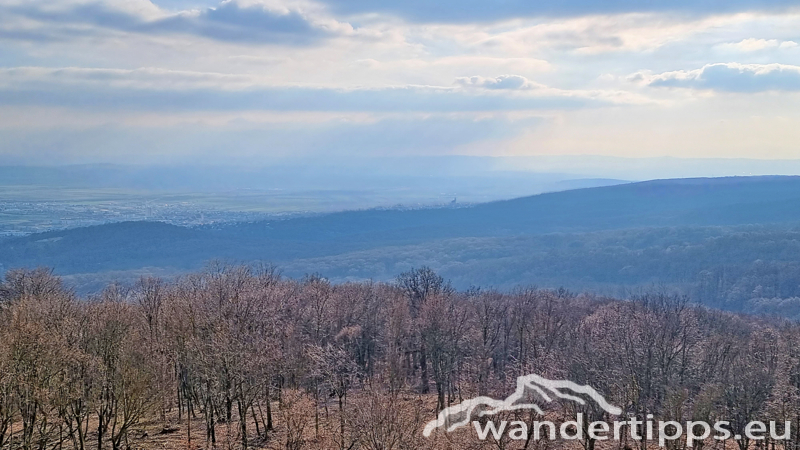 Sonnenberg/Buchkogel Abbildung 14