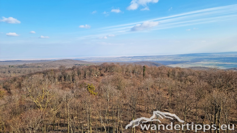 Sonnenberg/Buchkogel Abbildung 15