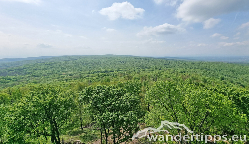 Sonnenberg/Buchkogel Abbildung 18