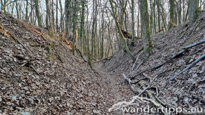 Sonnenberg/Buchkogel Abbildung 19