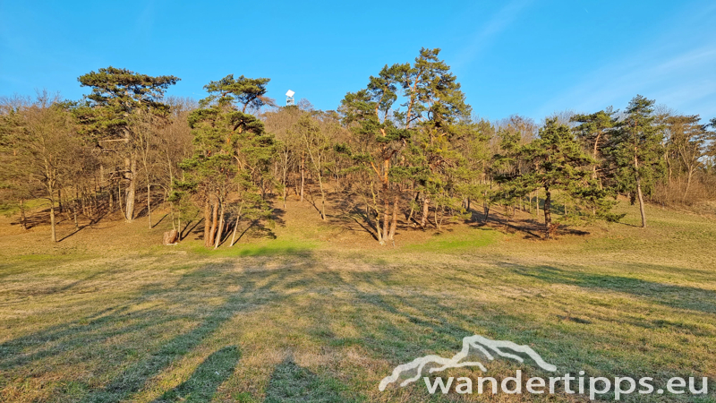 Sonnenberg/Buchkogel Abbildung 20