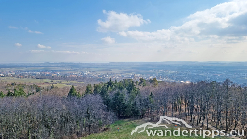 Sonnenberg/Buchkogel Abbildung 5
