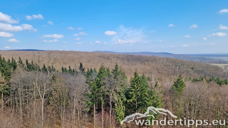 Sonnenberg/Buchkogel Abbildung 6