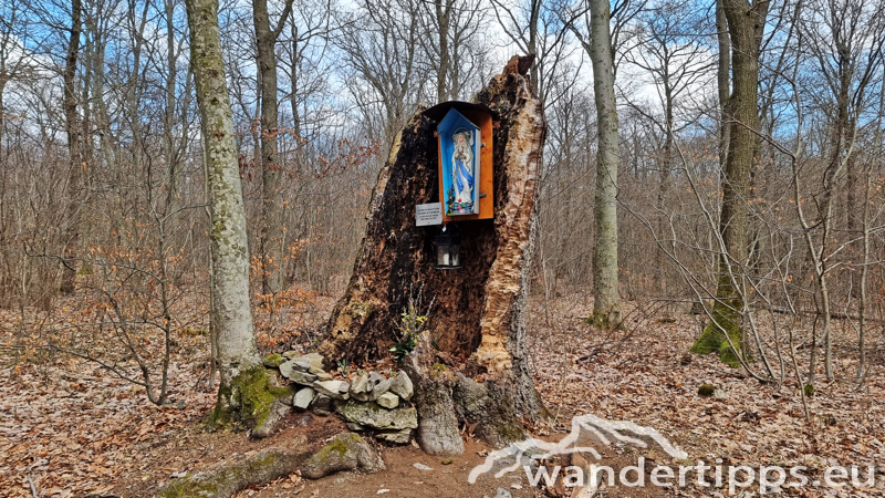 Sonnenberg/Buchkogel Abbildung 7