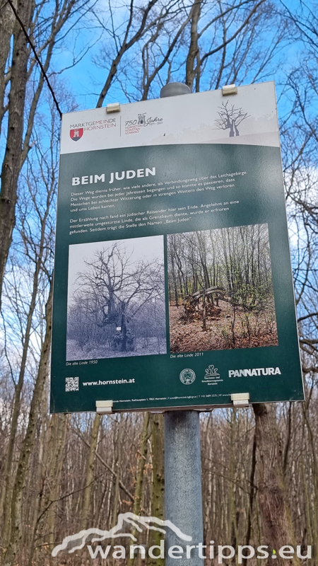 Sonnenberg/Buchkogel Abbildung 8