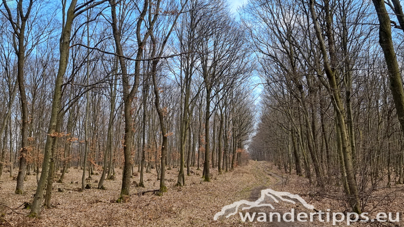 Sonnenberg/Buchkogel Abbildung 10
