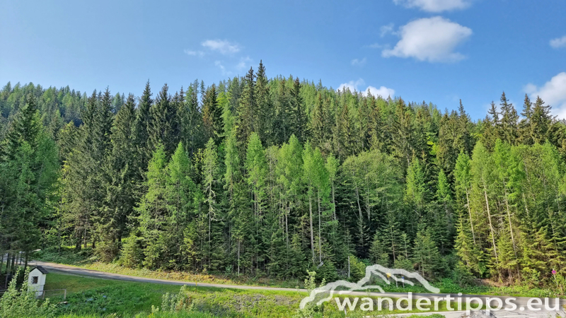 Troiseck von Norden Abbildung 2