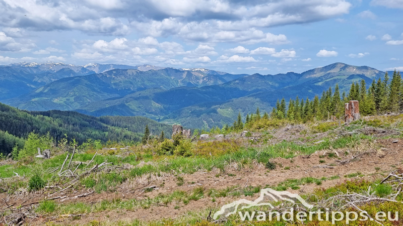 Troiseck von Norden Abbildung 11