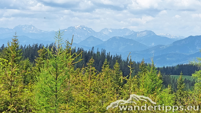 Troiseck von Norden Abbildung 12