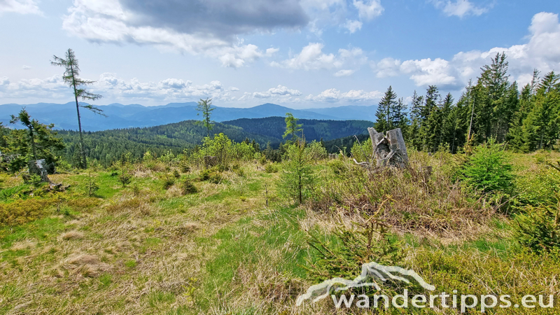 Troiseck von Norden Abbildung 13