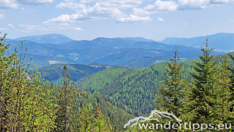 Troiseck von Norden Abbildung 14