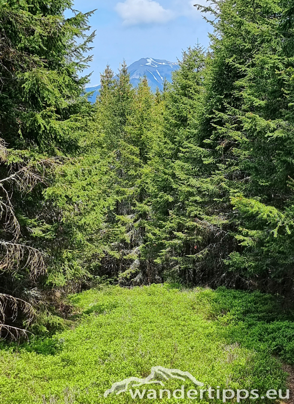Troiseck von Norden Abbildung 16