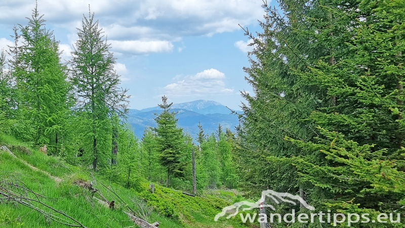 Troiseck von Norden Abbildung 17