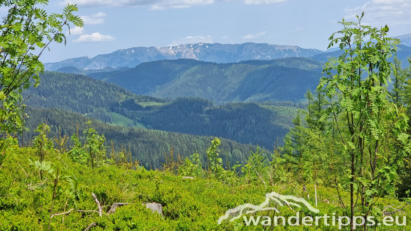 Troiseck von Norden Abbildung 18