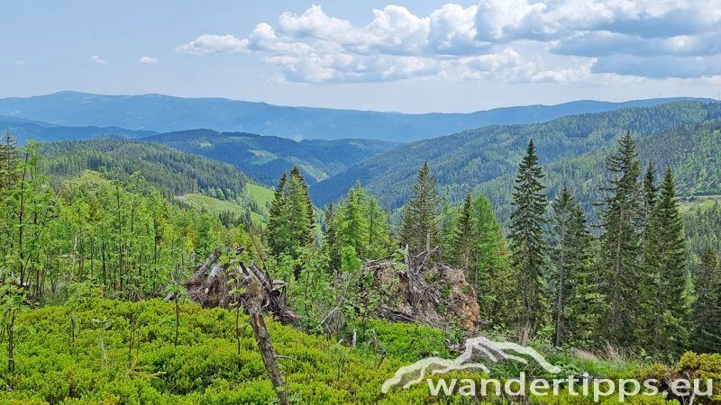 Troiseck von Norden Abbildung 19