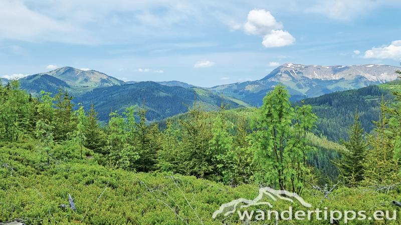 Troiseck von Norden Abbildung 4