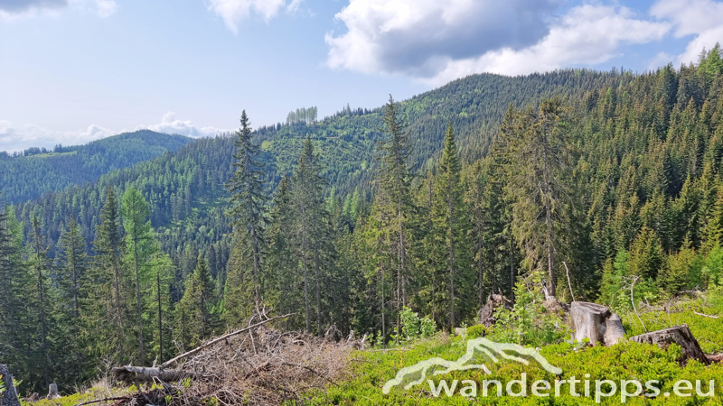 Troiseck von Norden Abbildung 5