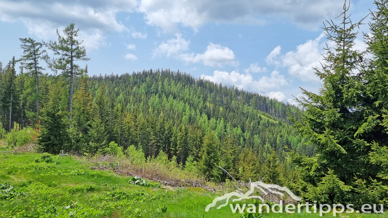 Troiseck von Norden Abbildung 7