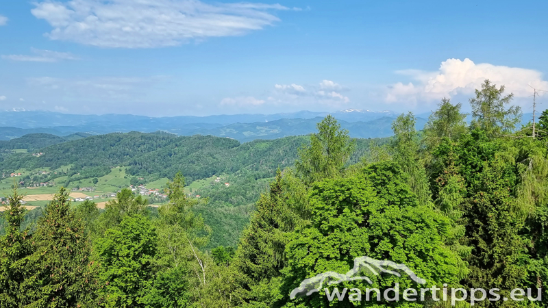 Fürstenstand/Plabutsch Abbildung 12