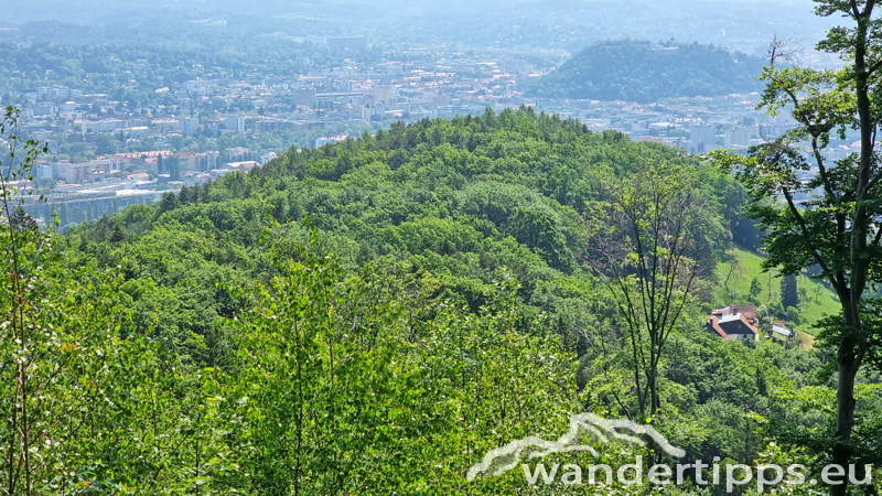 Fürstenstand/Plabutsch Abbildung 15