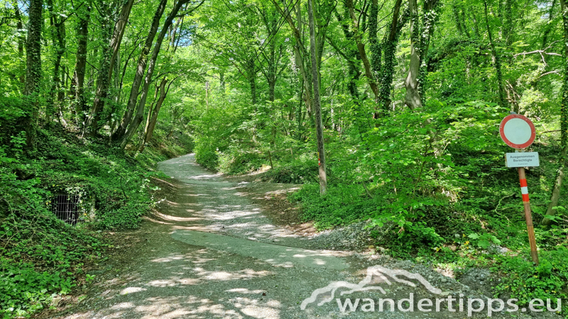 Fürstenstand/Plabutsch Abbildung 4