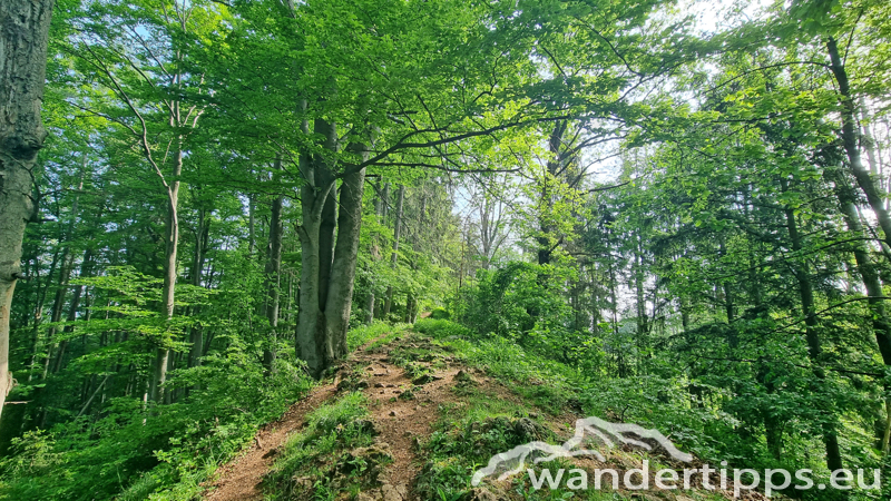 Fürstenstand/Plabutsch Abbildung 7