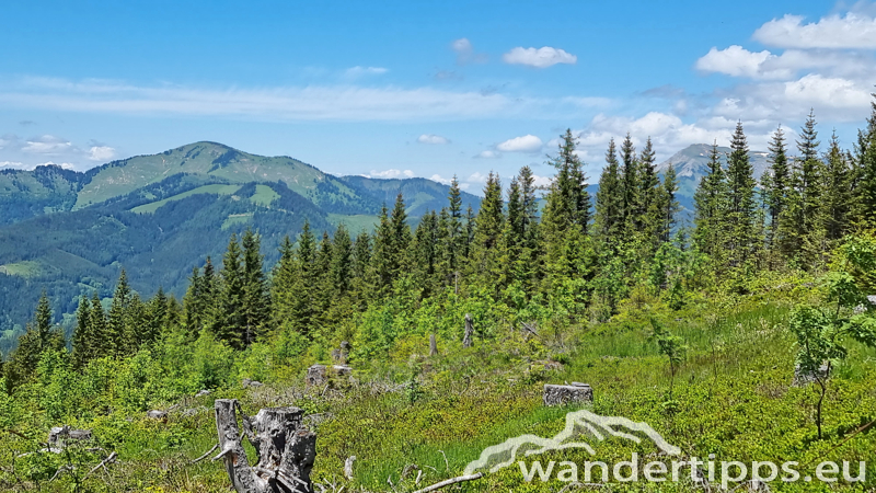 Troiseck von Süden Abbildung 11