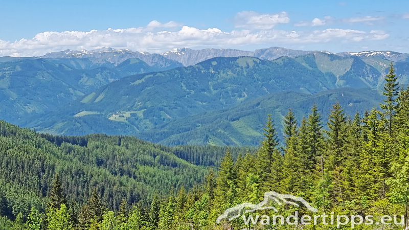 Troiseck von Süden Abbildung 12