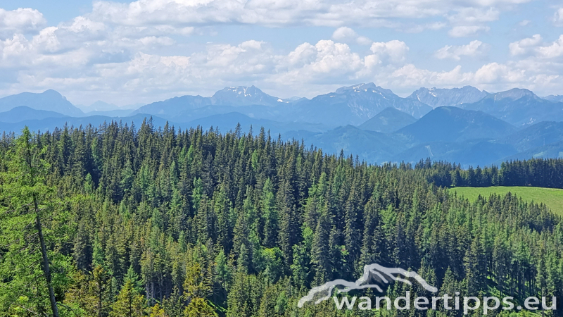 Troiseck von Süden Abbildung 13