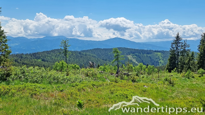 Troiseck von Süden Abbildung 14