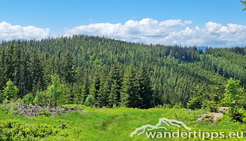 Troiseck von Süden Abbildung 15