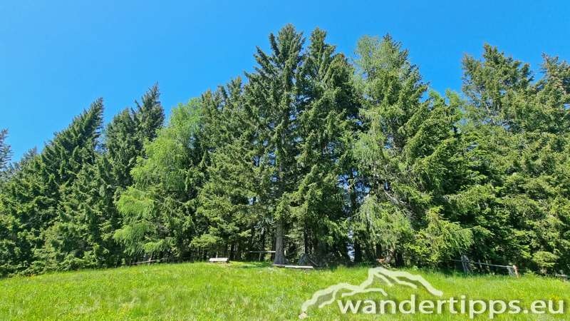 Troiseck von Süden Abbildung 16