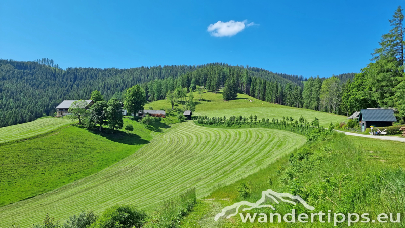 Troiseck von Süden Abbildung 4