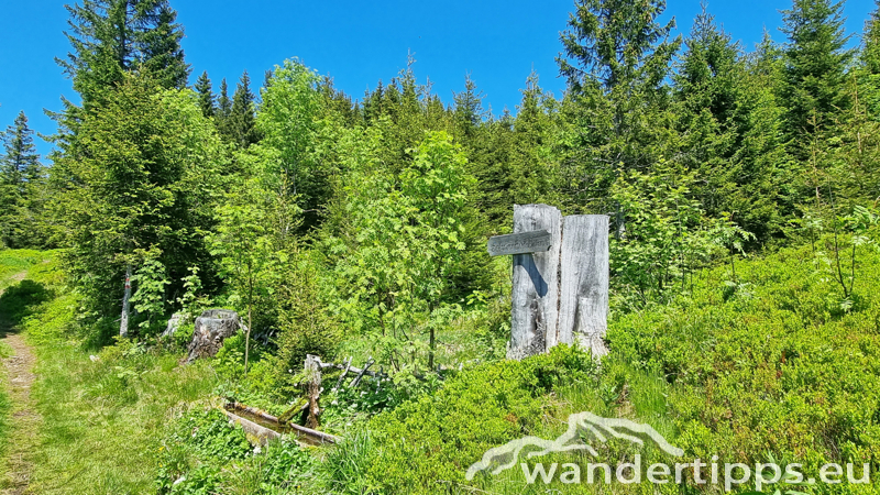 Troiseck von Süden Abbildung 9