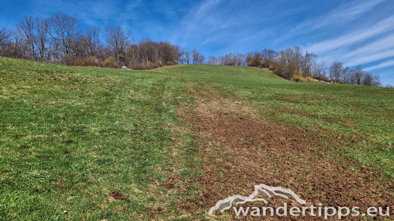 Geißbühel von Süden/Hochebenkogel Abbildung 18