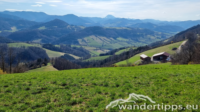 Geißbühel von Süden/Hochebenkogel Abbildung 19