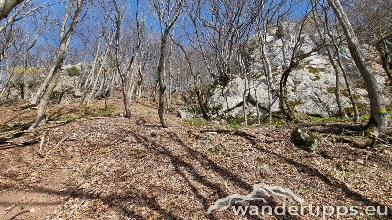 Geißbühel von Süden/Hochebenkogel Abbildung 8
