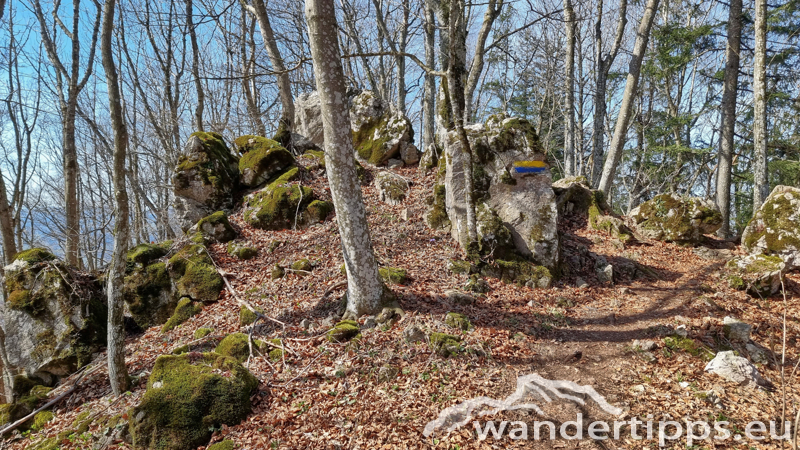 Geißbühel von Süden/Hochebenkogel Abbildung 9